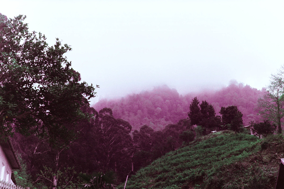 analog Film   Landscape Nature psychedelic surreal mountains trees tamar burduli sea