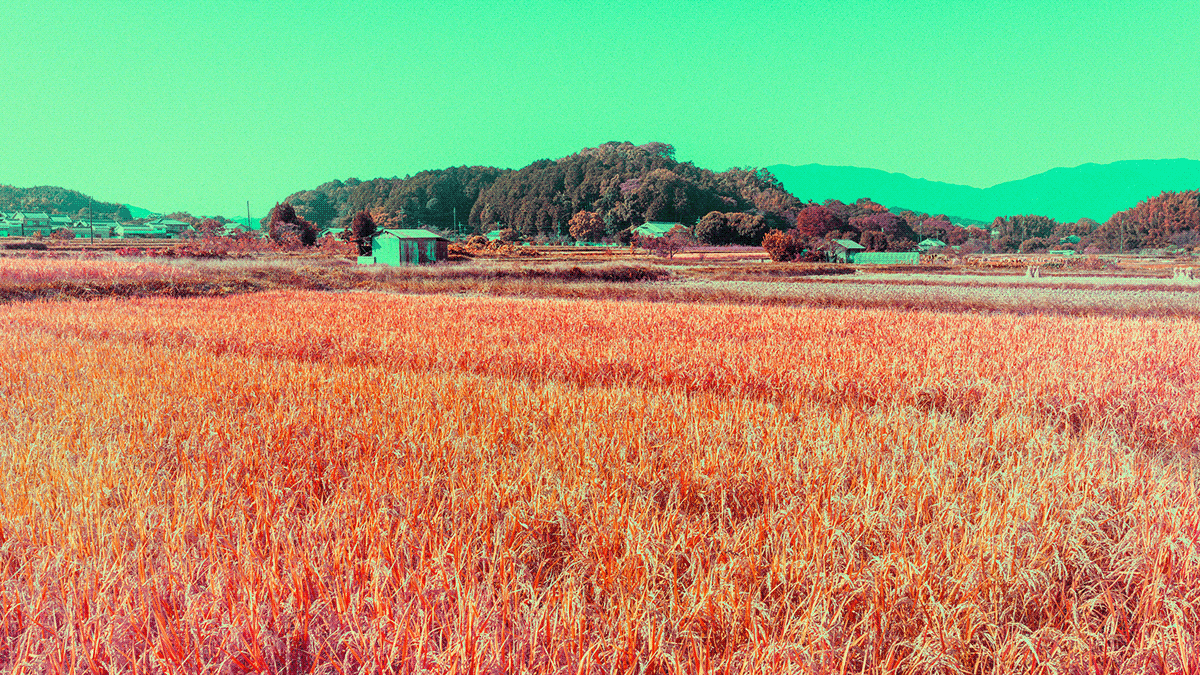 color color change country side journey Landscape Nara nostalgic art photoshop silkroad japan