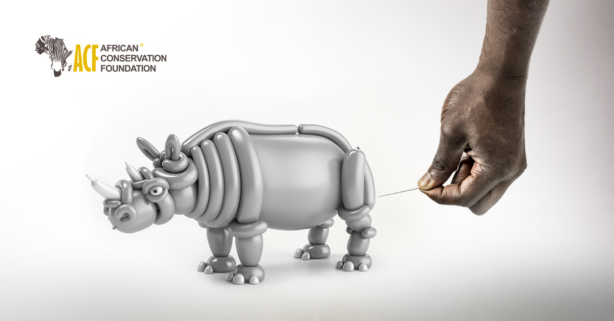 frederic mueller digital image making 3D rendering balloon animal CGI poaching Extinction