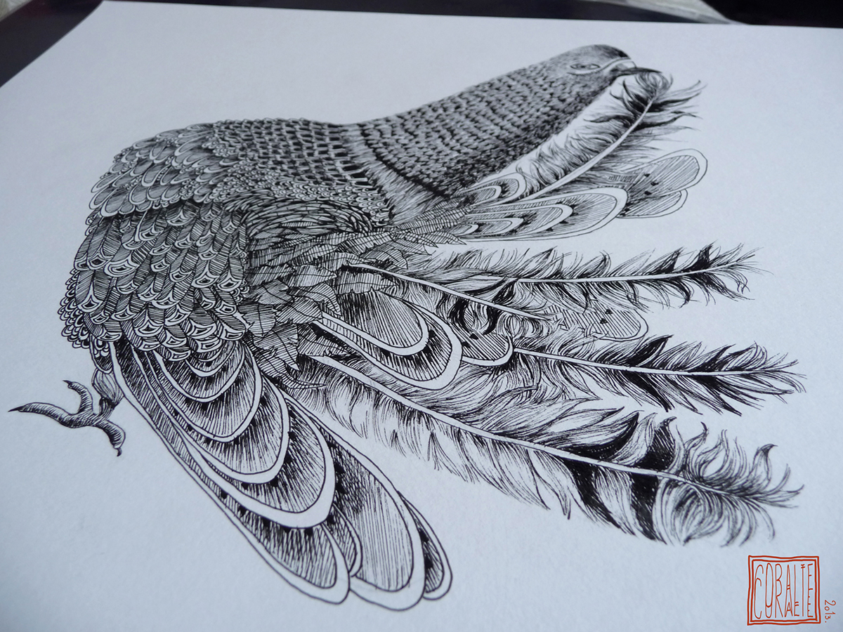 pigeon ink engraving