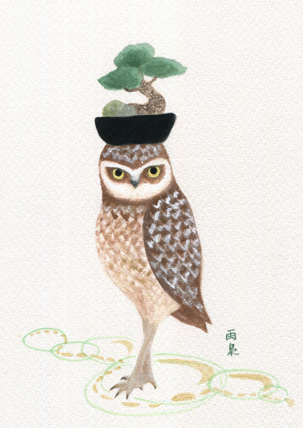 picturebook cover picture owl bonsai bonsai owl Japanese Painting burrowing owl Kazuhito KAZEKI Ukyo SAITO birds