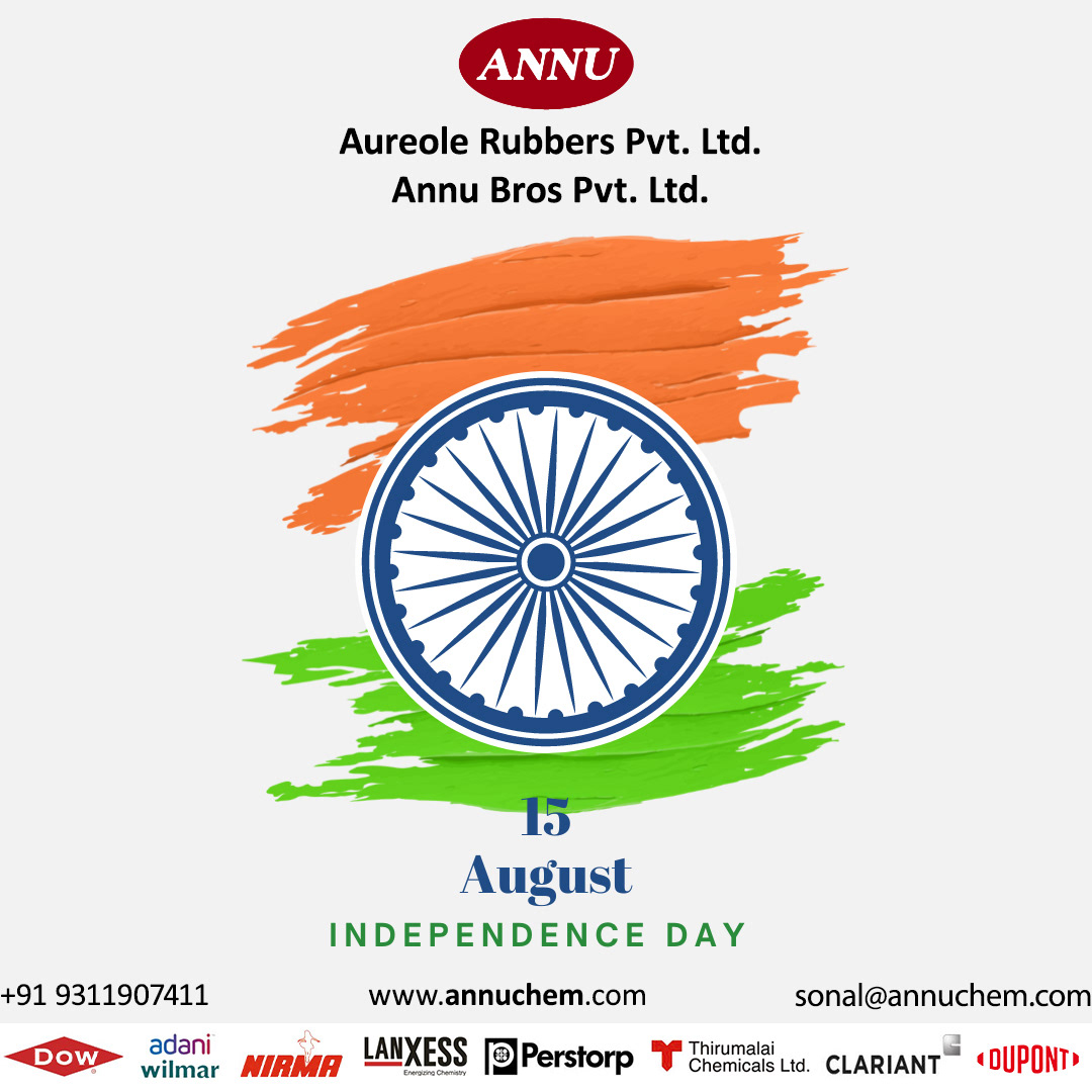 graphic design  independence day India