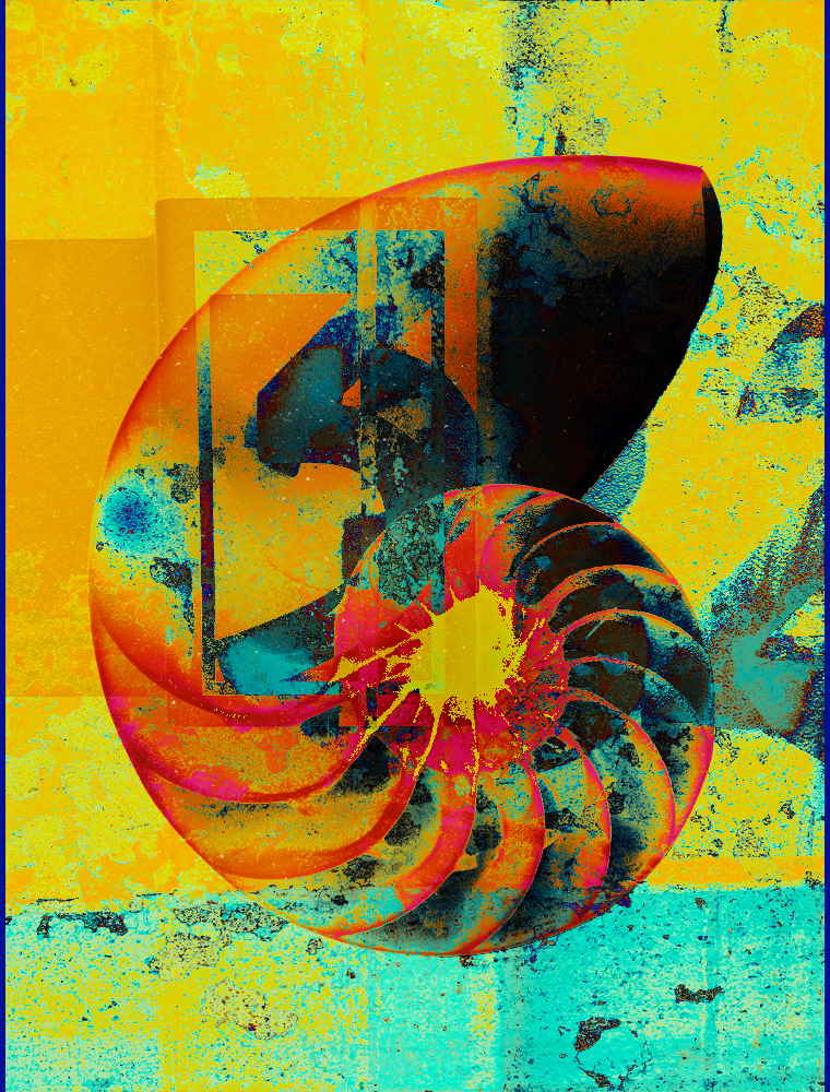 nautilus Nature Overlay gritty Urban layers Digital Art  colorful artwork xray