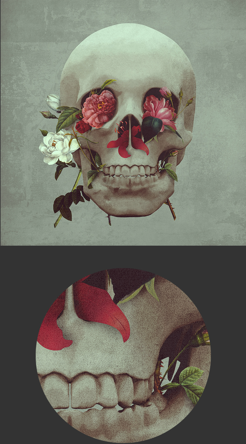 skull  Bull Flowers