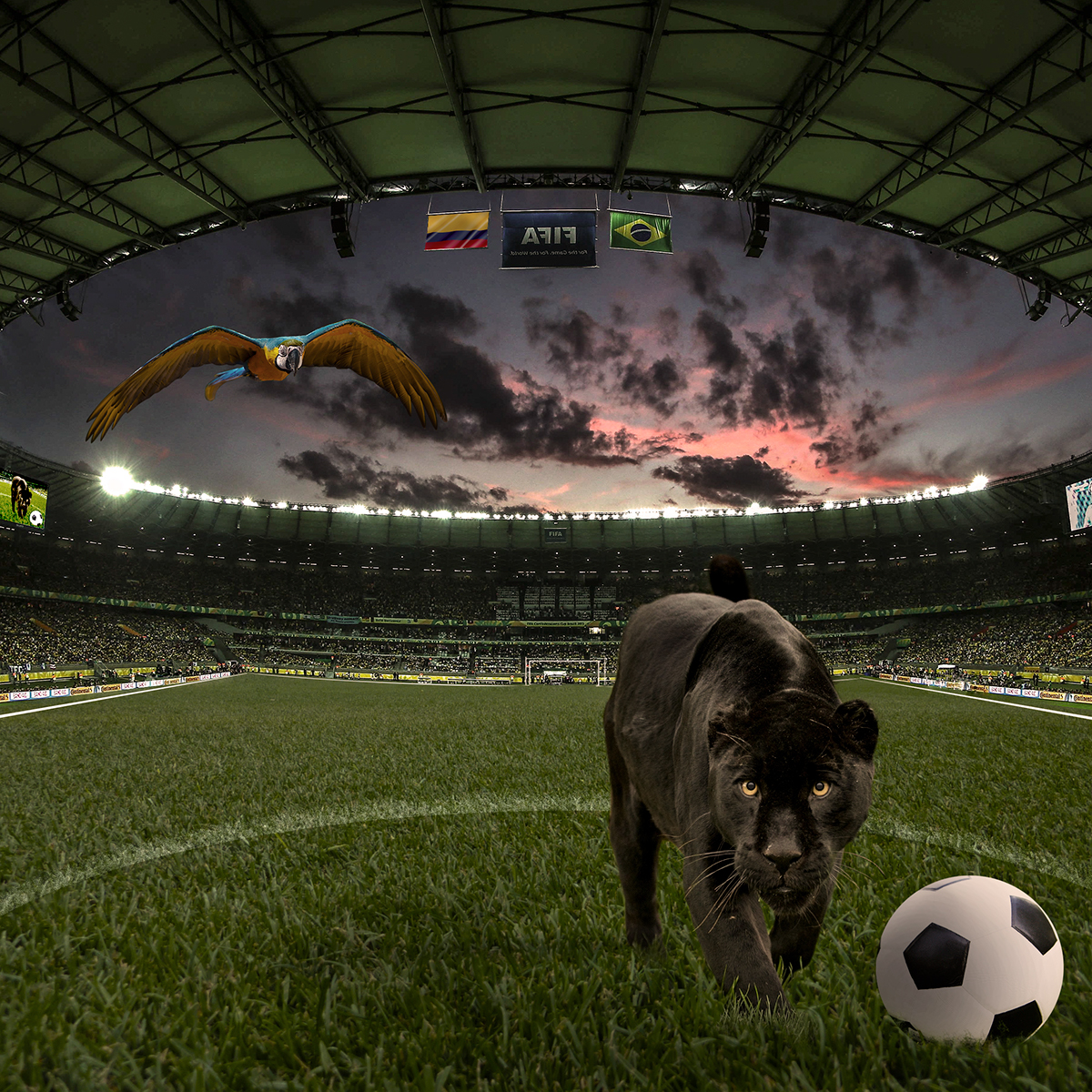 Brasil Comlombia photomanipulation photo manipulation pantera panther soccer futebol Brazil photoshop