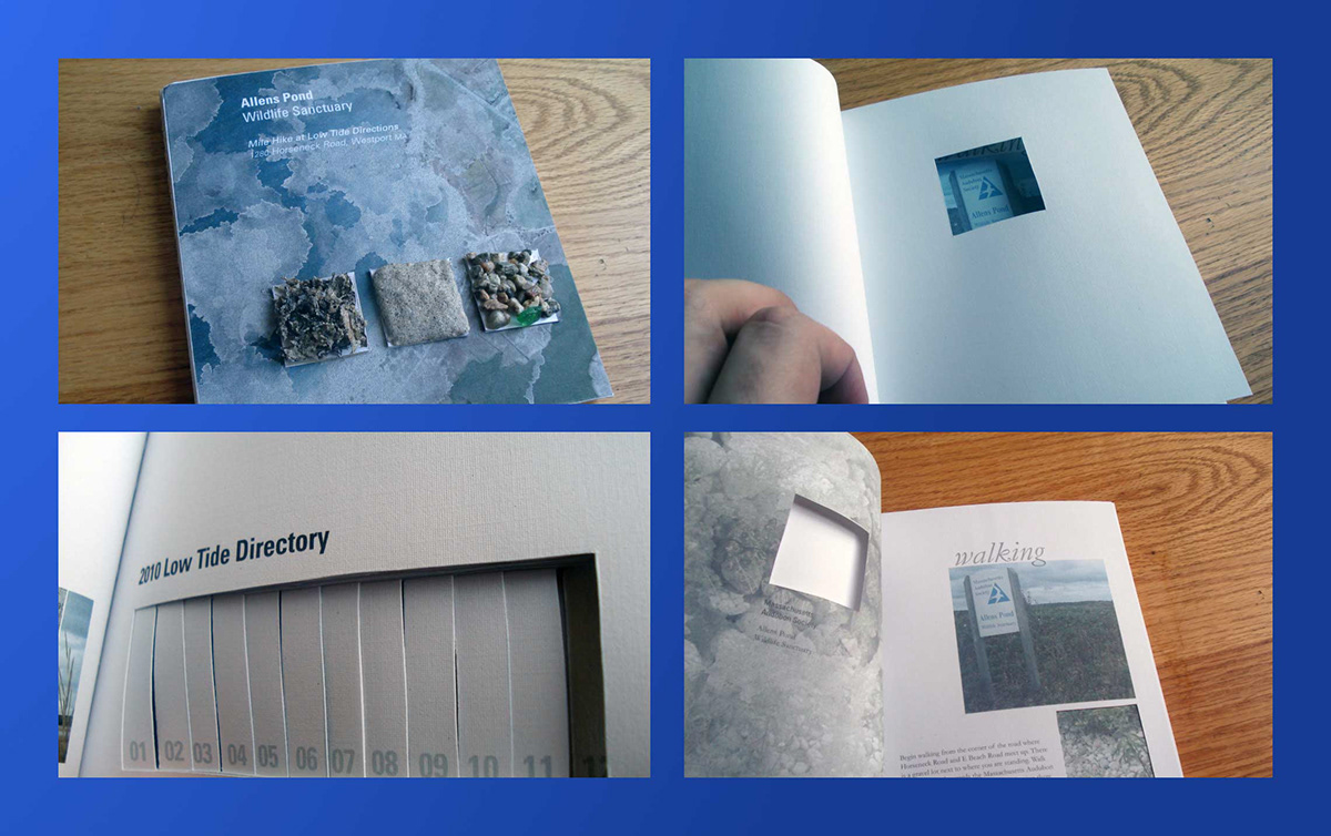 allens pond beach book design information design Layout Physical Experience print UMass Dartmouth