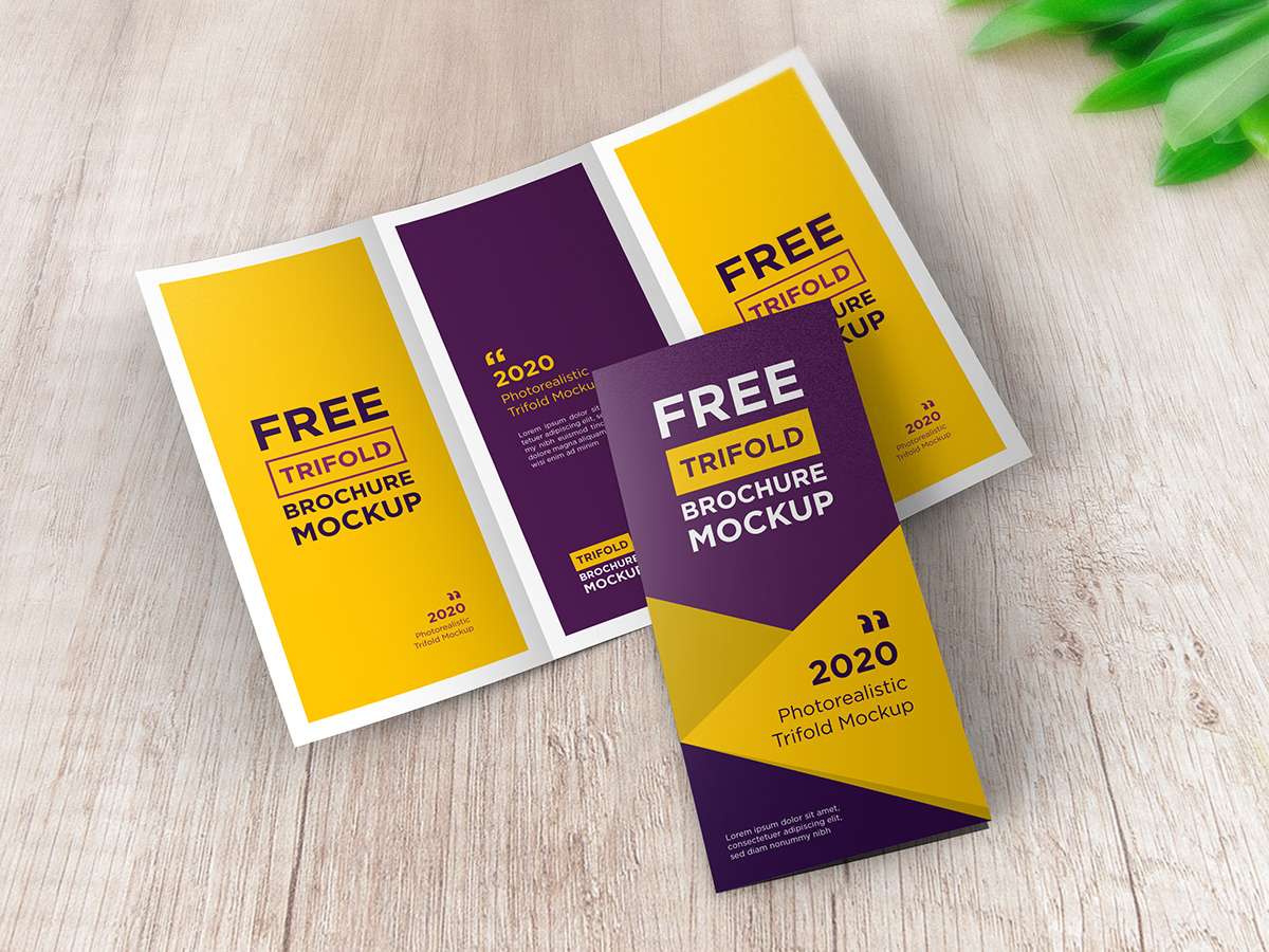 free free mockup  free premium mockup Mockup photorealistic trifold trifold brochure trifold brochure mıockup trifold mockup