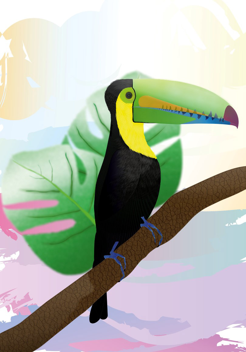 animals artwork coreldraw graphic design  illustrasjon ILLUSTRATION  plakat toucan vector vektorgrafikk