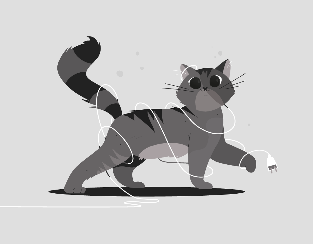 animal Cat catlife Character characterdesign Chat ILLUSTRATION  inktober inktober2020 motiondesign