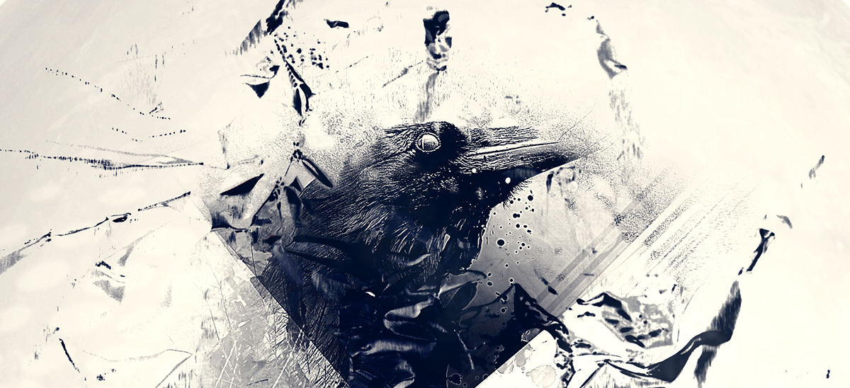 raven ravens katZy grunge dark horror raven eye abstract raven abstract