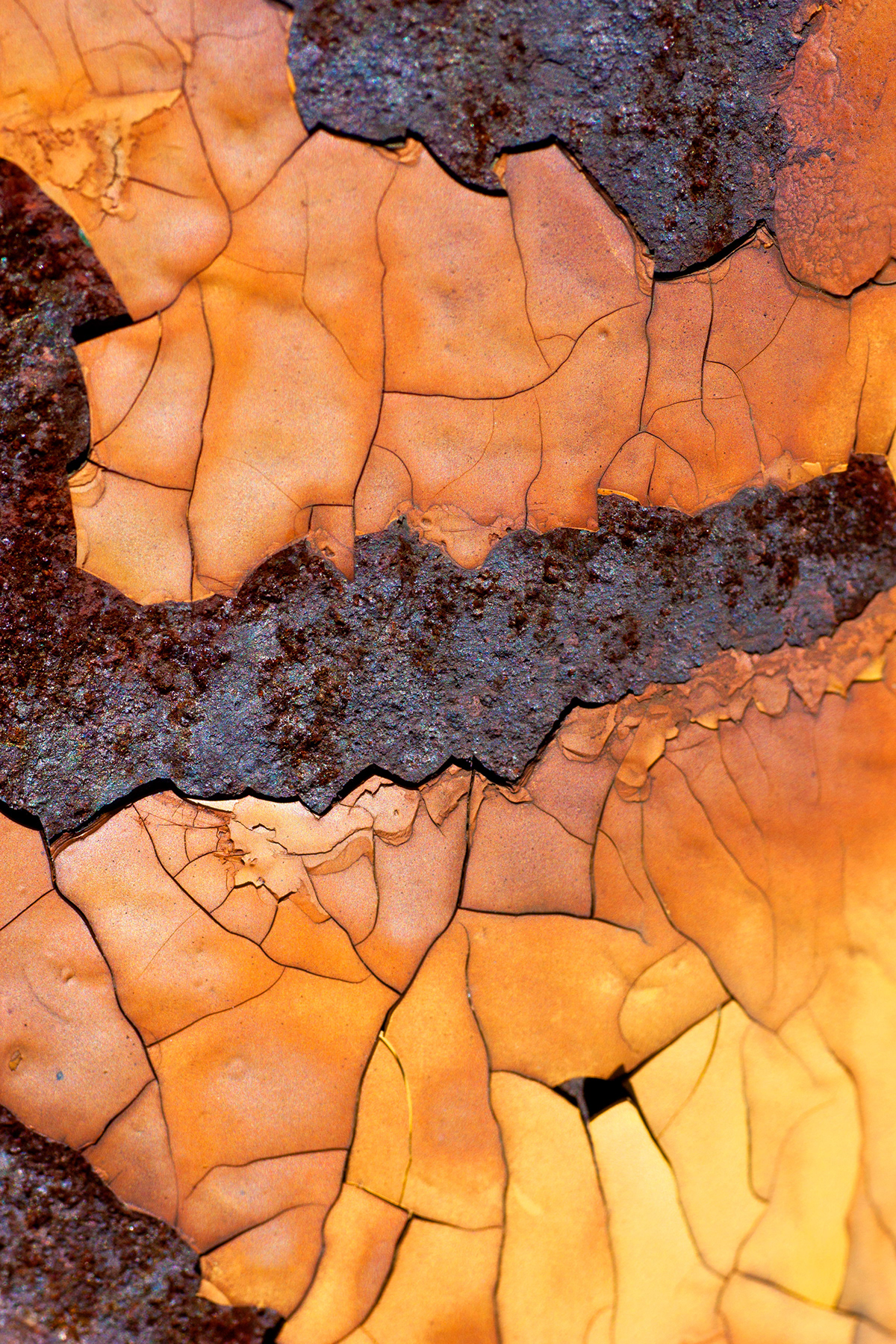 rust abstract macro detroit Michigan Beautiful close color decay metal fine art