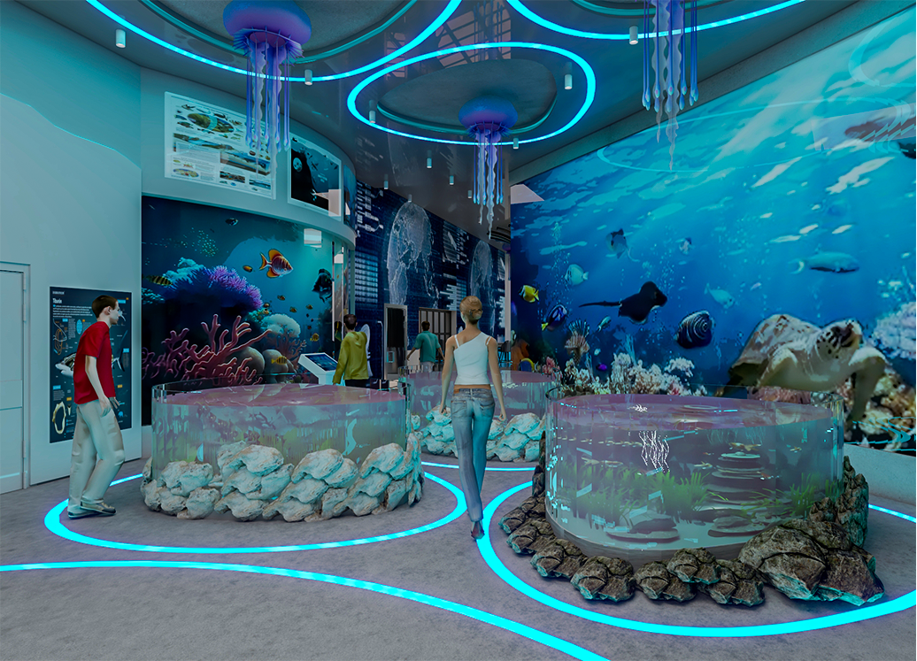 aquarium marine oceanography aquatic projet fin d'etude aménagement interieur étude de cas Aquafish marine biology musée