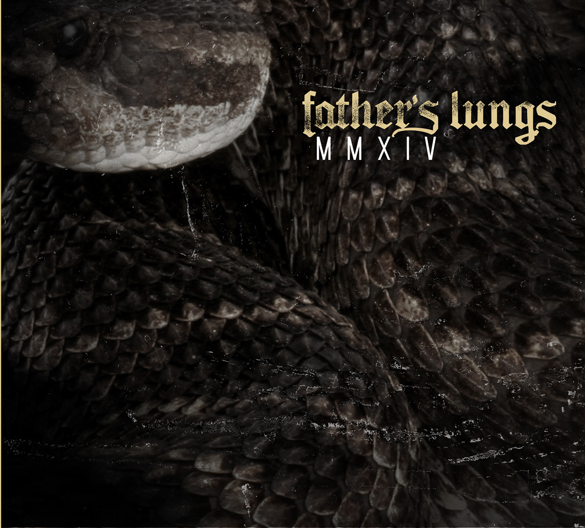 Father's Lungs Hardcore media album artwork