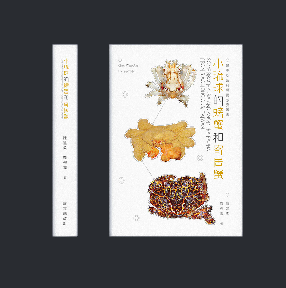 book design editorial sea Ocean taiwan book biology illustrationj 圖鑑 生物