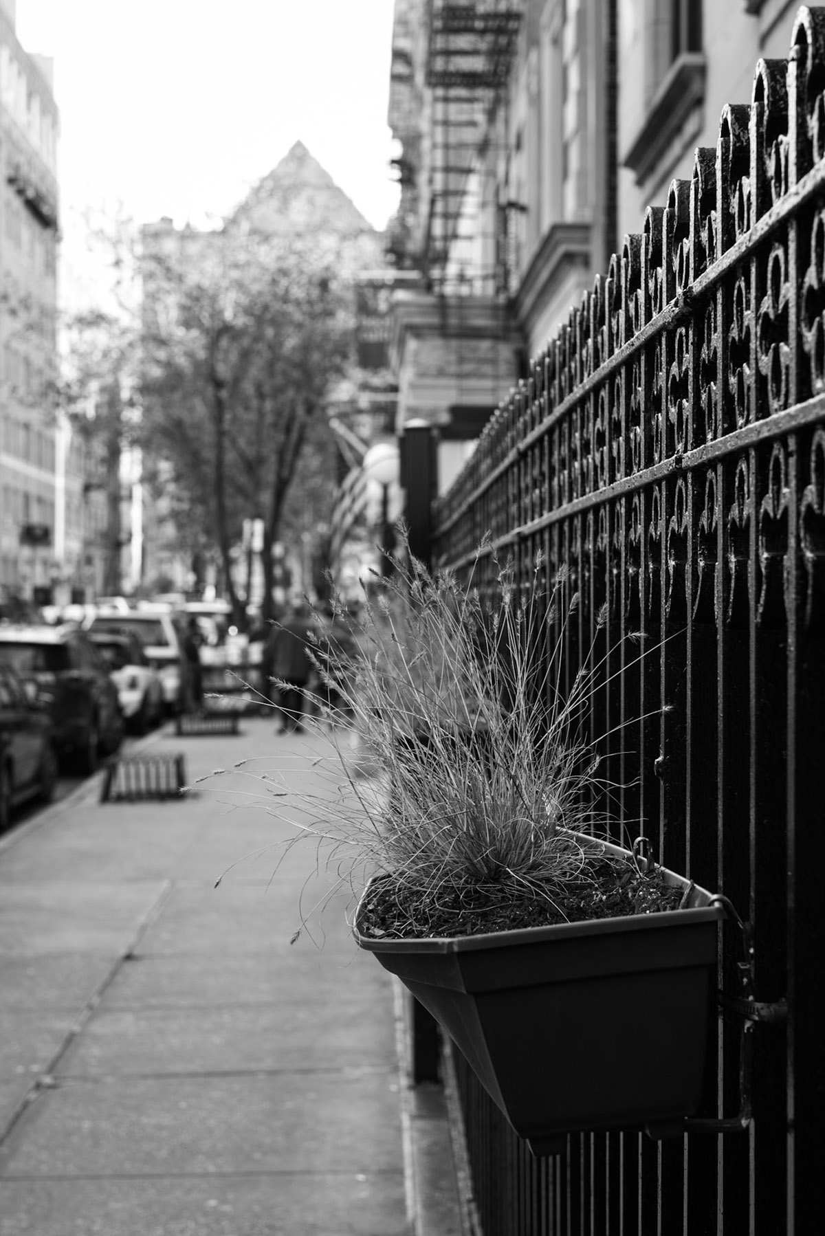 Upper West side new york city black & white Street architecture
