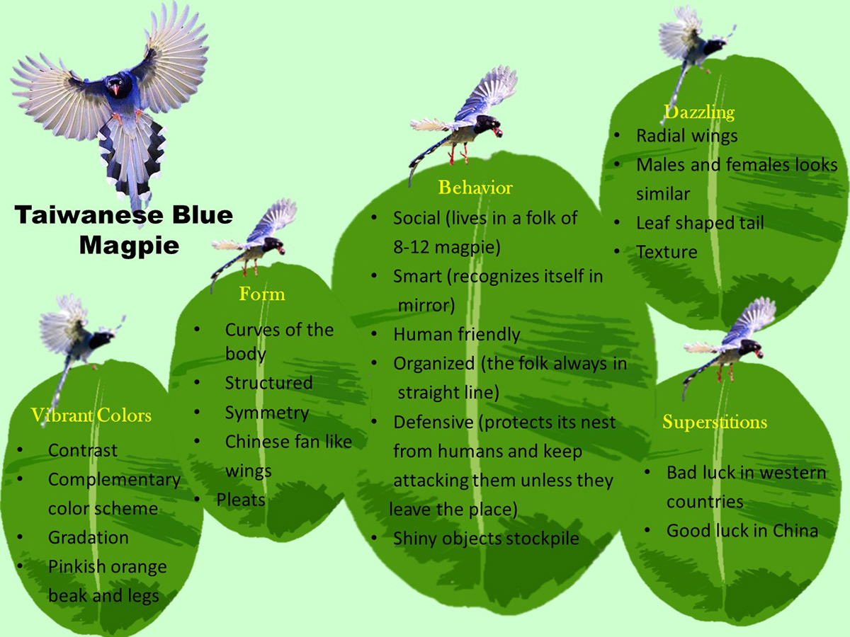 biomimicry blue magpies boards Casual wear Fashion  fashion illustration Fasion design tunic womenswear
