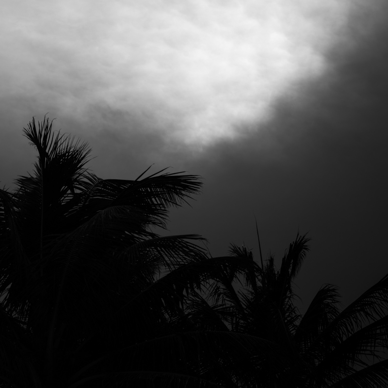 beach texture Nature black and white Riviera Maya mexico palm clouds akumal