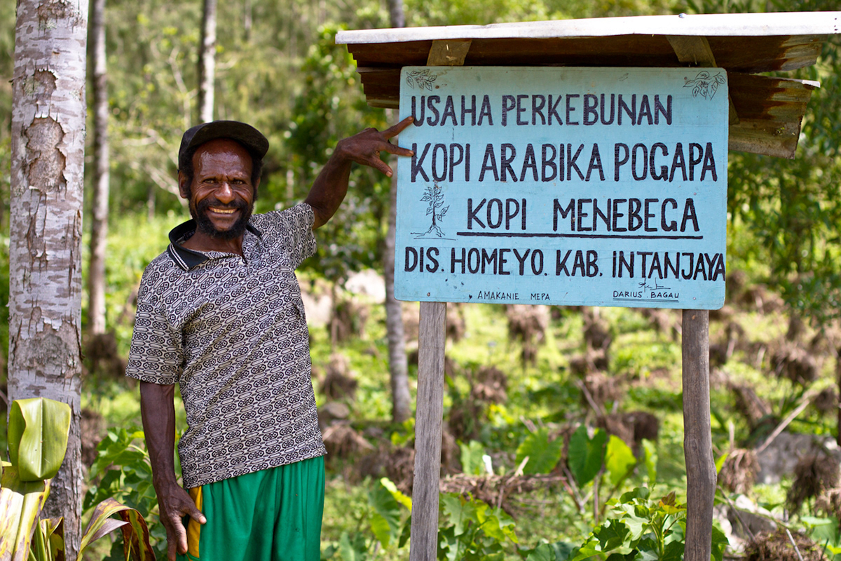 indonesia Coffee growers Papua pogapa pone Travel drink roaters jakarta