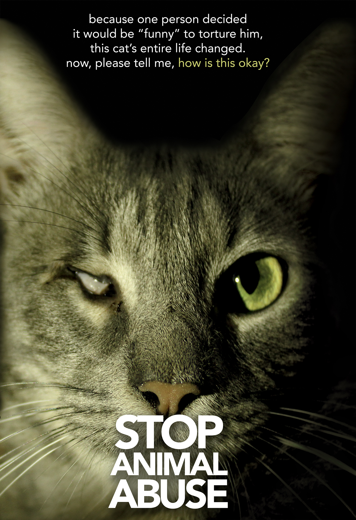 Stop Animal Abuse Advocacy Poster on Behance