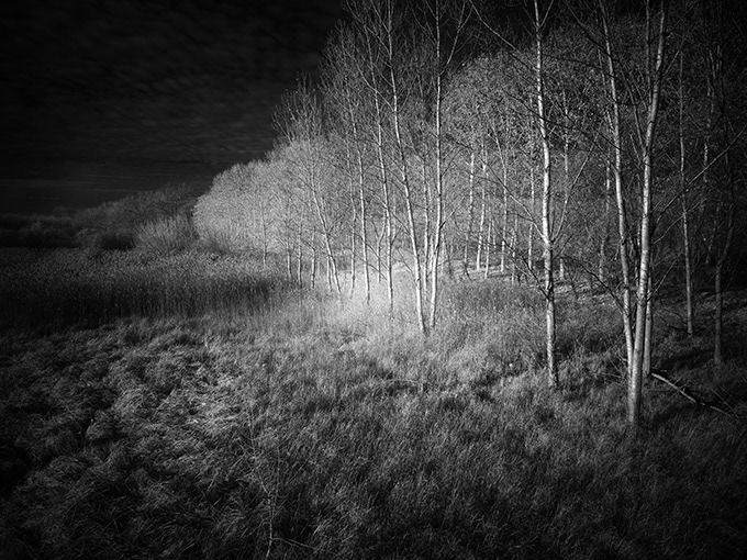 infrascapes Landscape Nature fine art black and white monochrome infrared infrared photography fine art photography IR