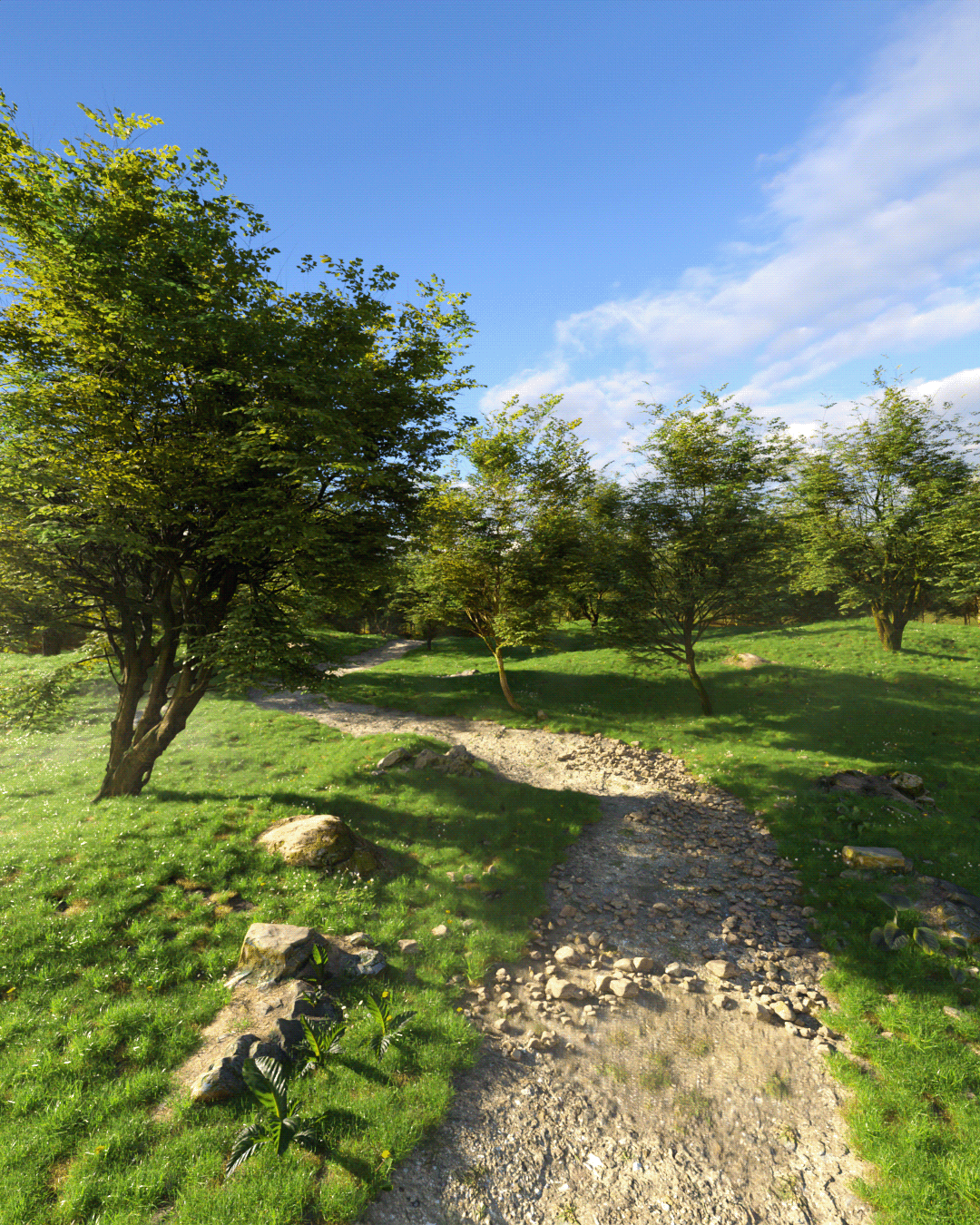 Landscape trees 3d modeling blender Render scene woodland