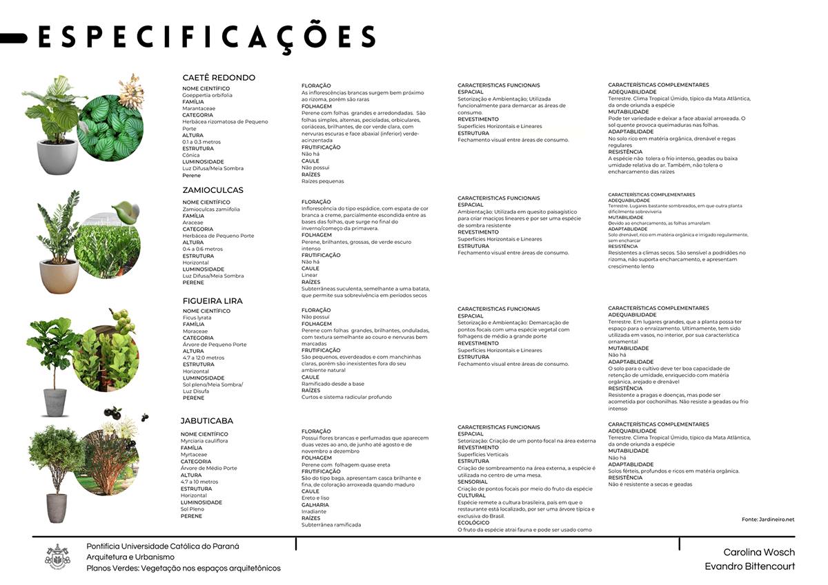 ARQUITETURA biofilia colagem Ilustração paisagismo plantas plantscaping projeto restaurante urban jungle