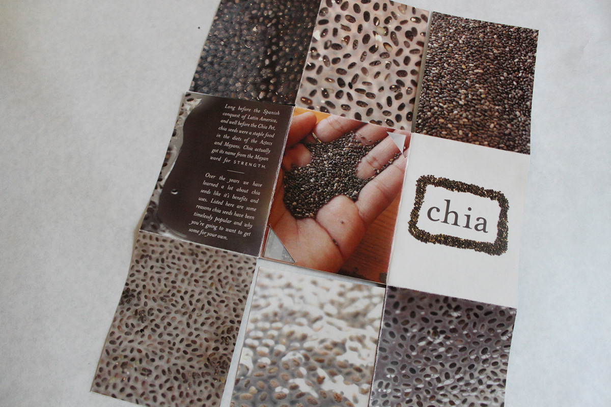 Chia Seeds  design brochure