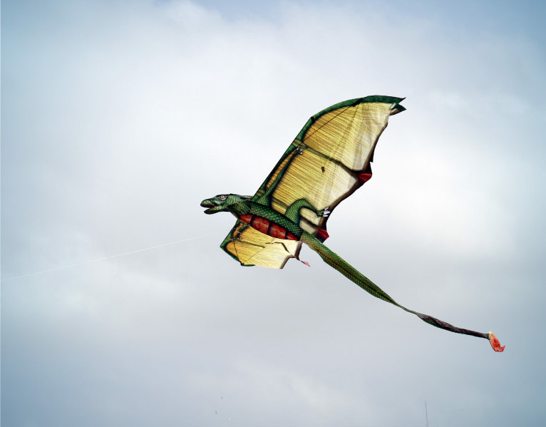 costco kites toys Games Outdoor print artwork textile kite design Patterns animals planes