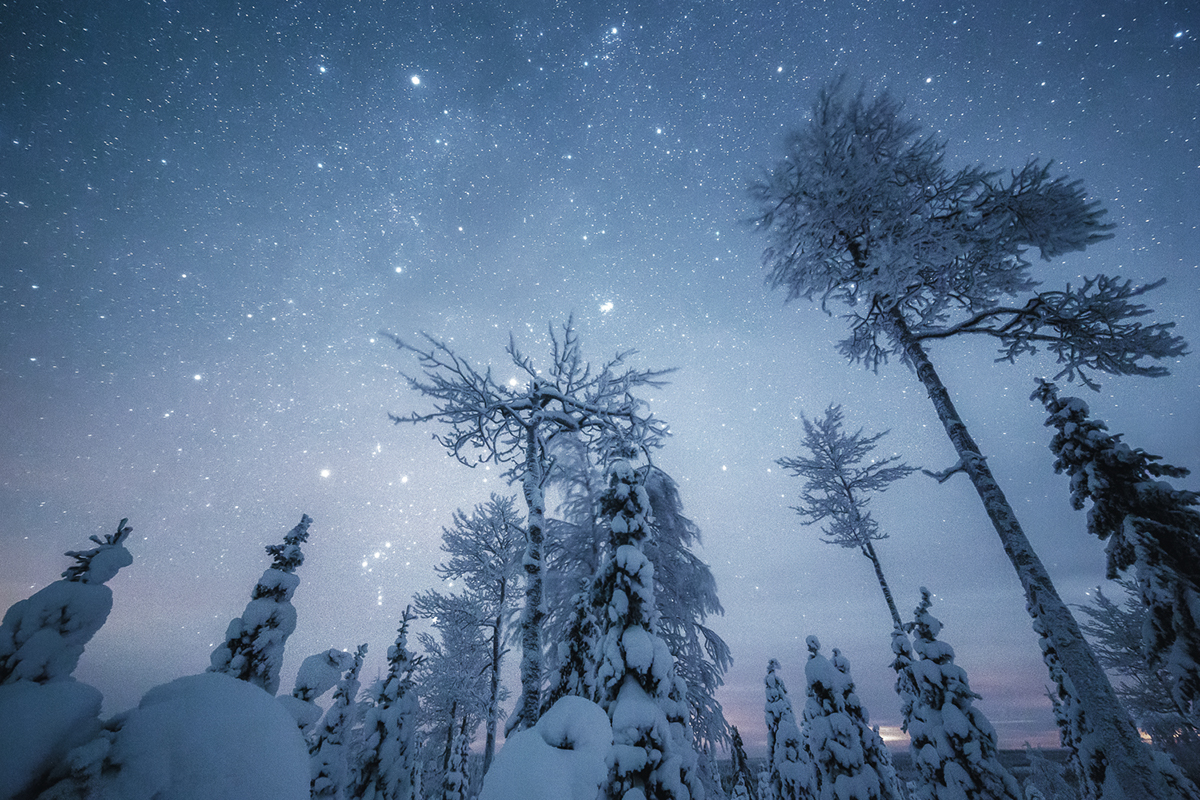 Landscape night SKY forest trees winter snow cold Lapland finland Nightsky