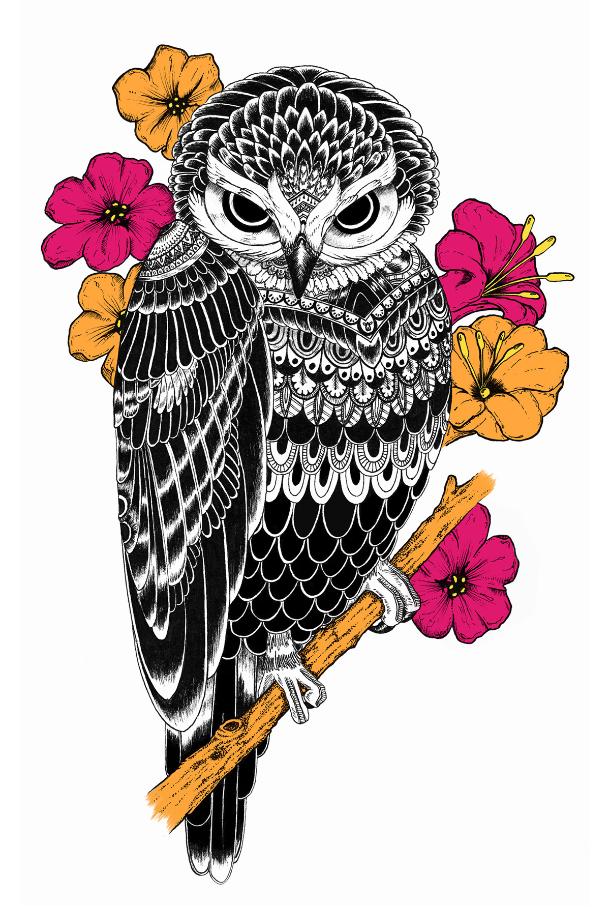 ink draws owl illustrations design graphic typographic types arts t-shirt color colours black feather details