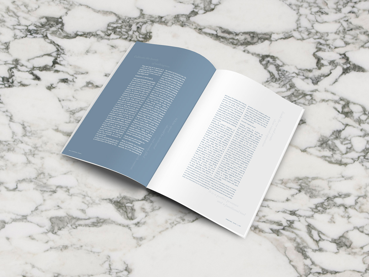 publication editorial design  magazine minimal Magazine design spot uv white ink graphic design  publication design