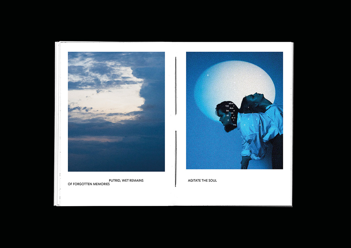 artwork book collage editorial Photography  Layout Zine  magazine photo photo zine