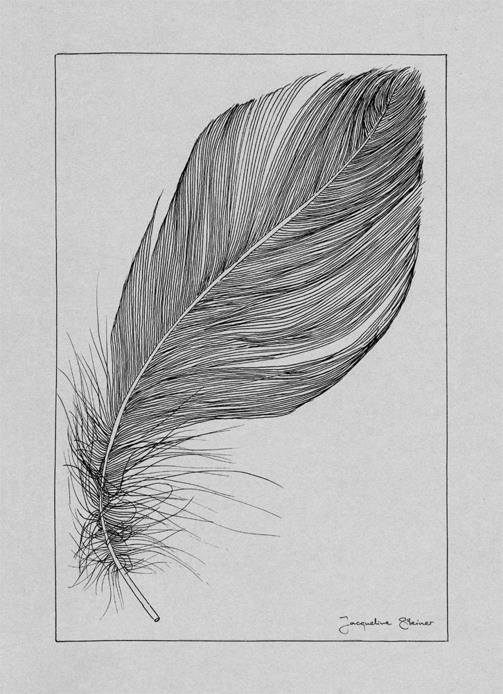 ink black feather structure texture Zeichnung grafik design illustriert detail draw Love Olympia feder art