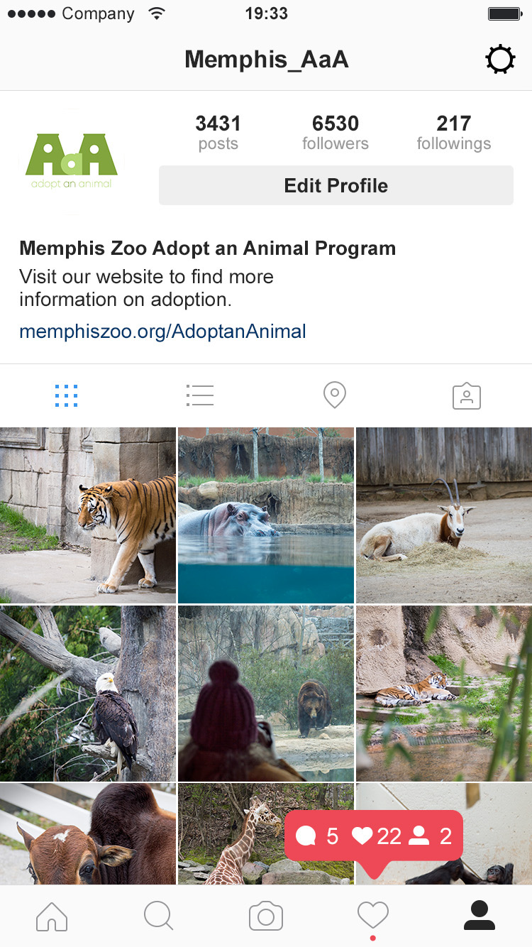 zoo social media Logo and Icons