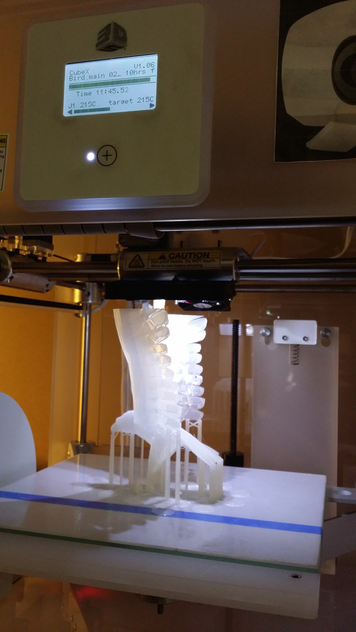bird 3D Printing rapid Prototyping print additive fdm