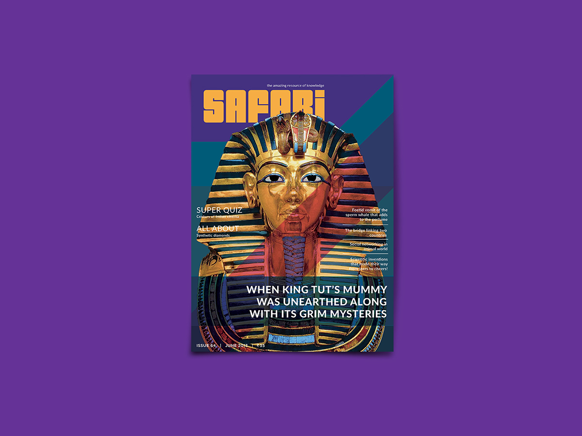publication safari magazine redesign kingtut öresund editorial