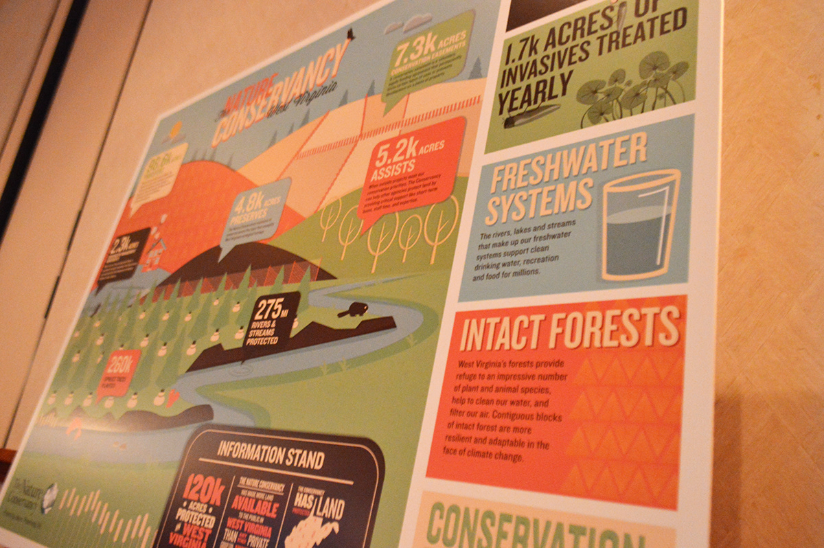 infographic color Outdoor Nature info poster graphic animals forrest environment