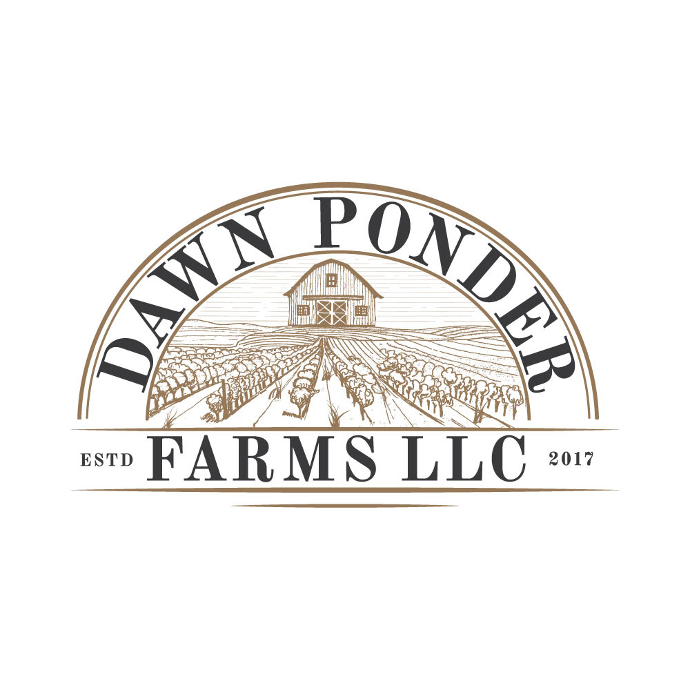farm logo handdrawn Drawing  sketch concept art barn vineyard fild landcape