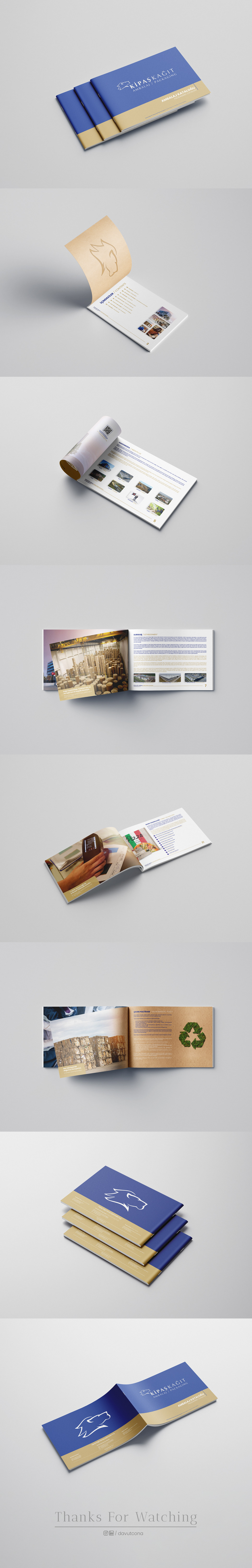Brand Design brochure cardbox Corporate Identity design indesing Packaging paper visual identity catalog