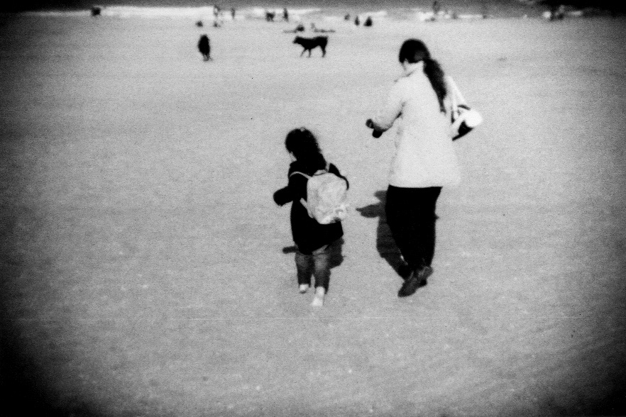 Lomography black and white Film   holga beach