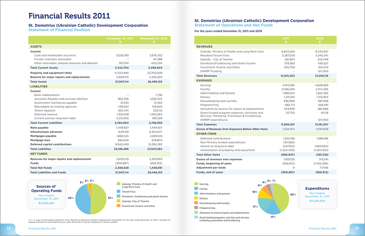 Adobe Portfolio annual report brand report design business information design graph Charts organization Booklet clean corporate Layout