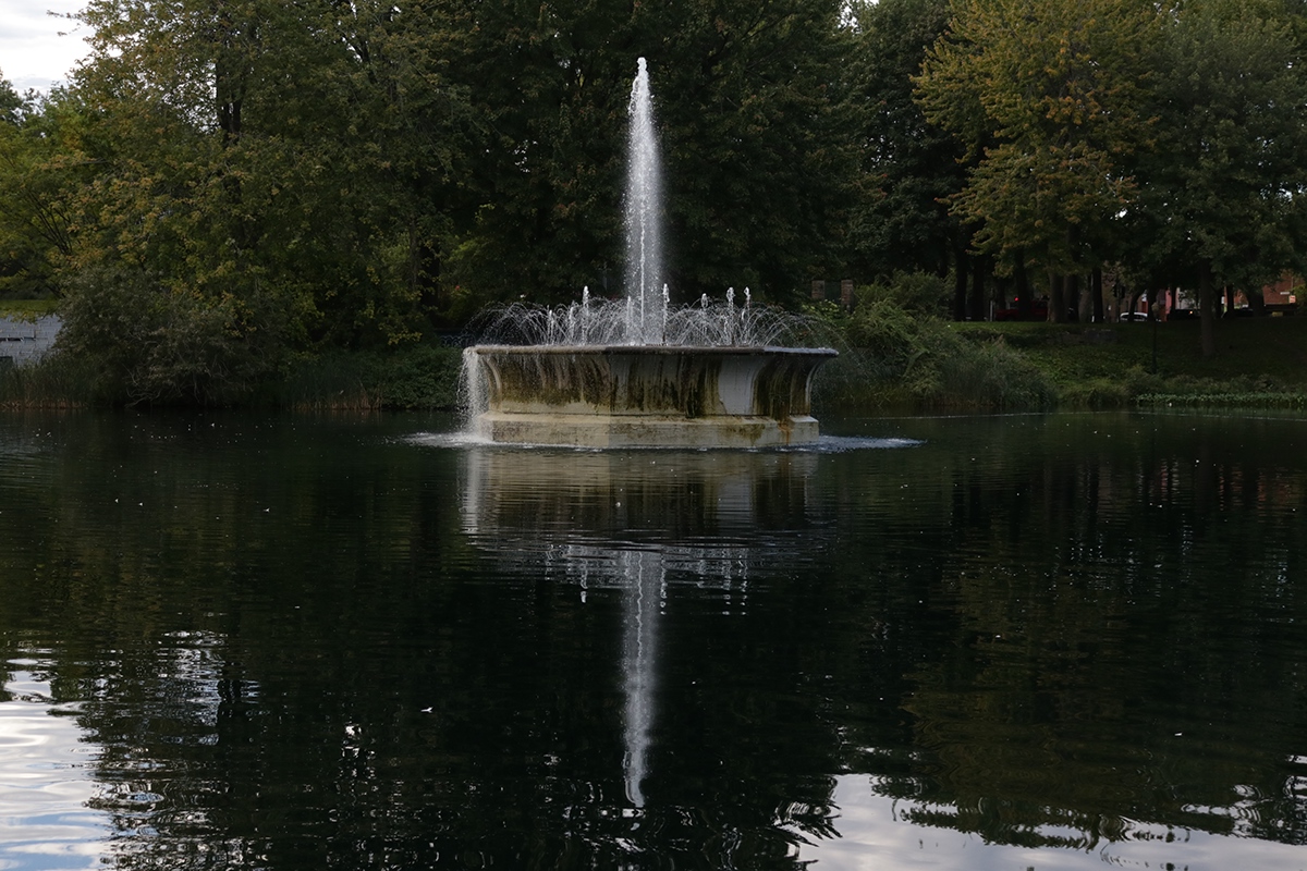Park parc lafontaine mont-royal Montreal photo pictures pphotographie Nature eau water bird oiseau Etang fontaine