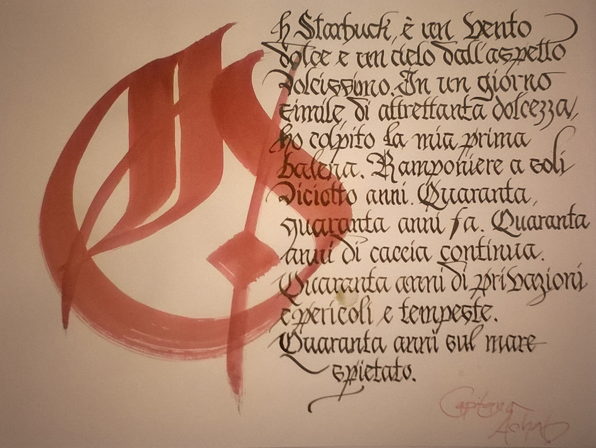 ScritturaBellissim Calligraphy   calligrafia gothic coursive uncial roman typography   scrittura bellascrittura