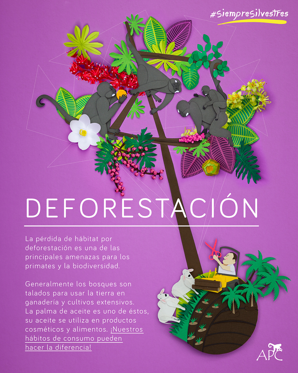 papercraft papercut papertoy Nature biodiversity monkey Education conservation ILLUSTRATION  colombia