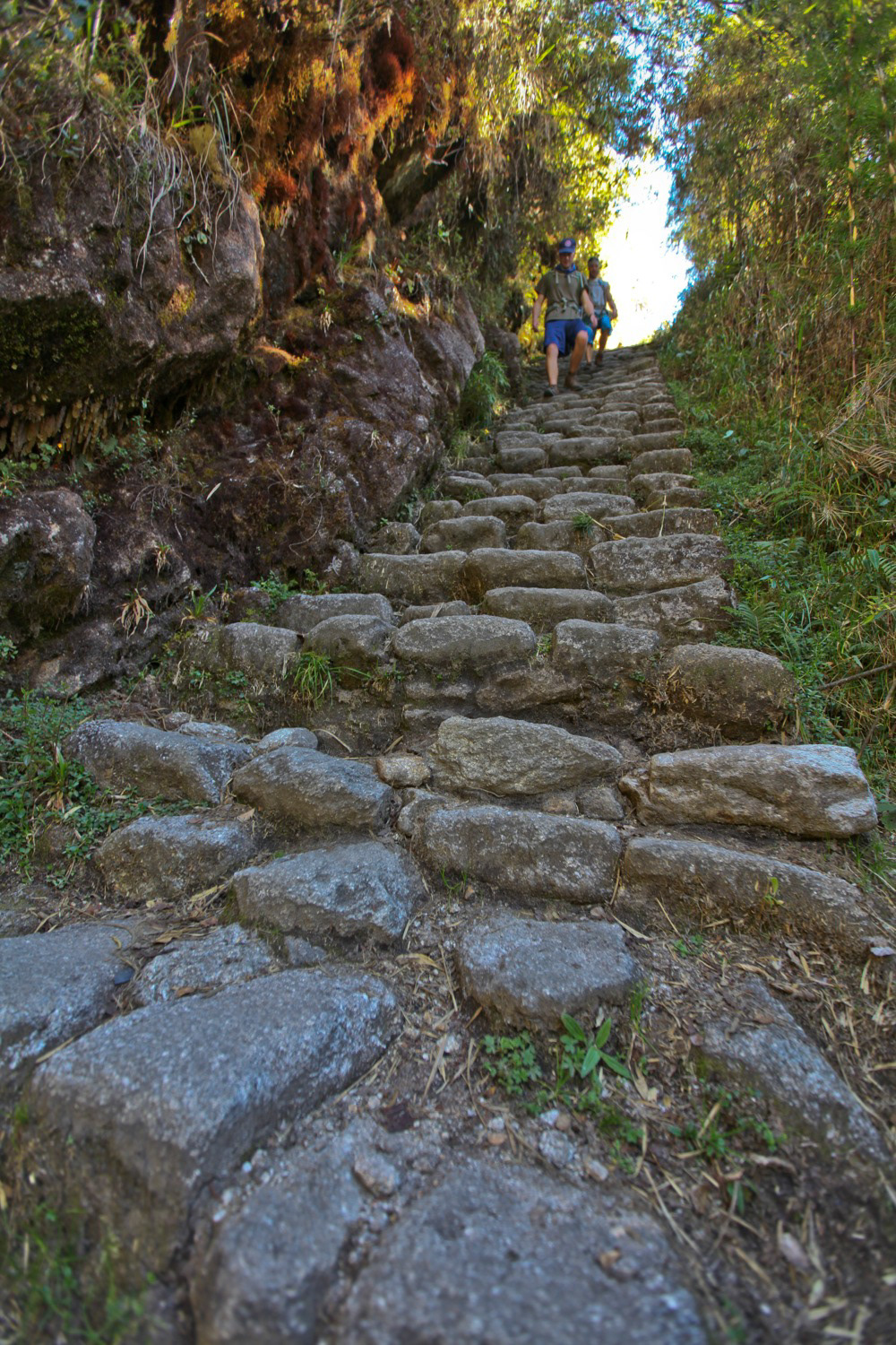 peru Machu Picchu Landscape Travel inca trail Huanchaco  