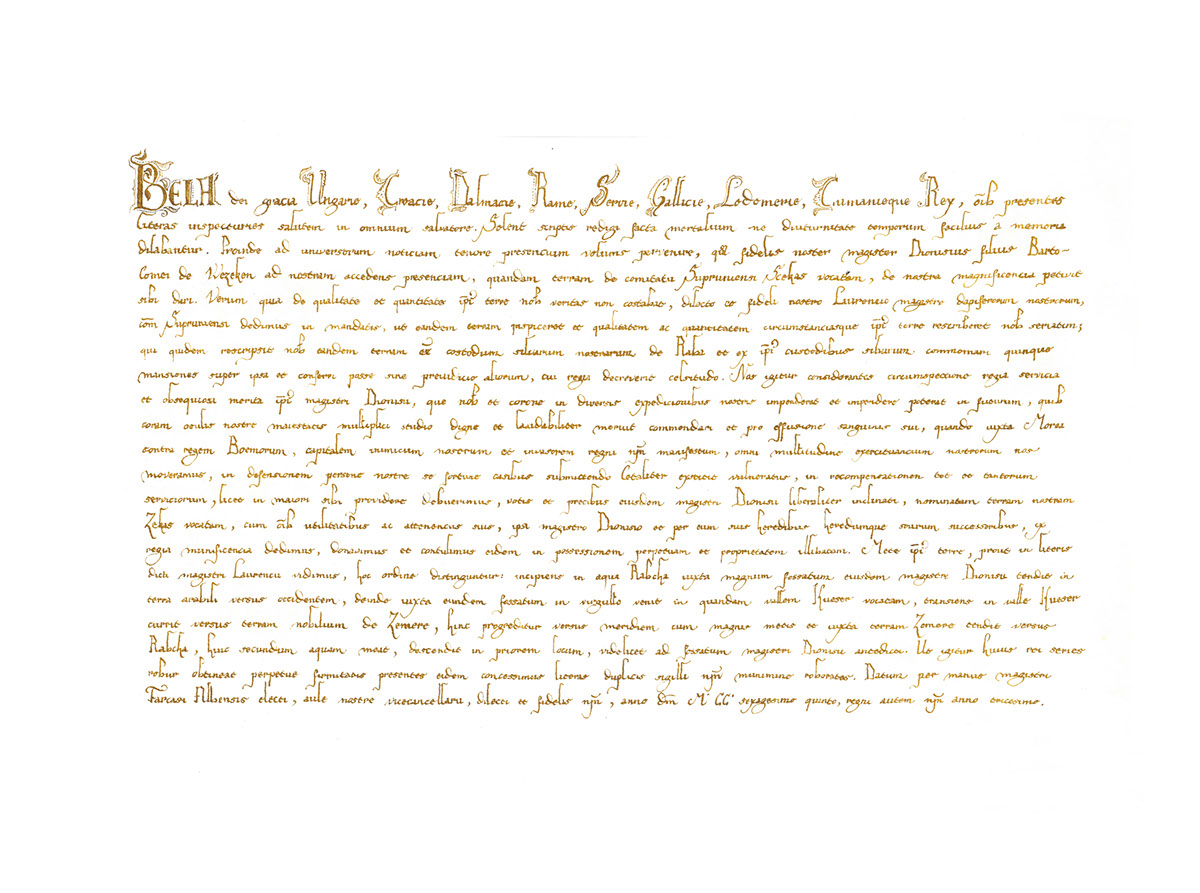 Handwrighting lettering handletters royal diploma oklevél kalligráfia kézírás pergamen