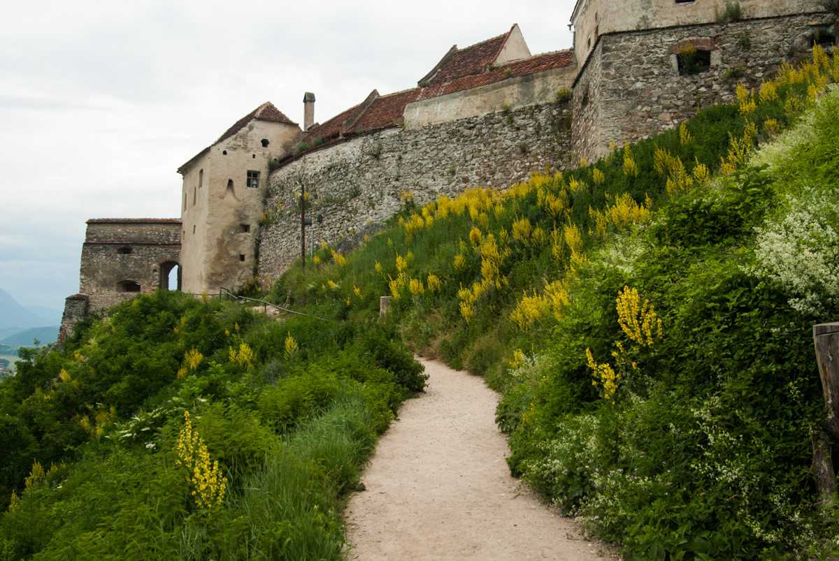 Citadel transylvania
