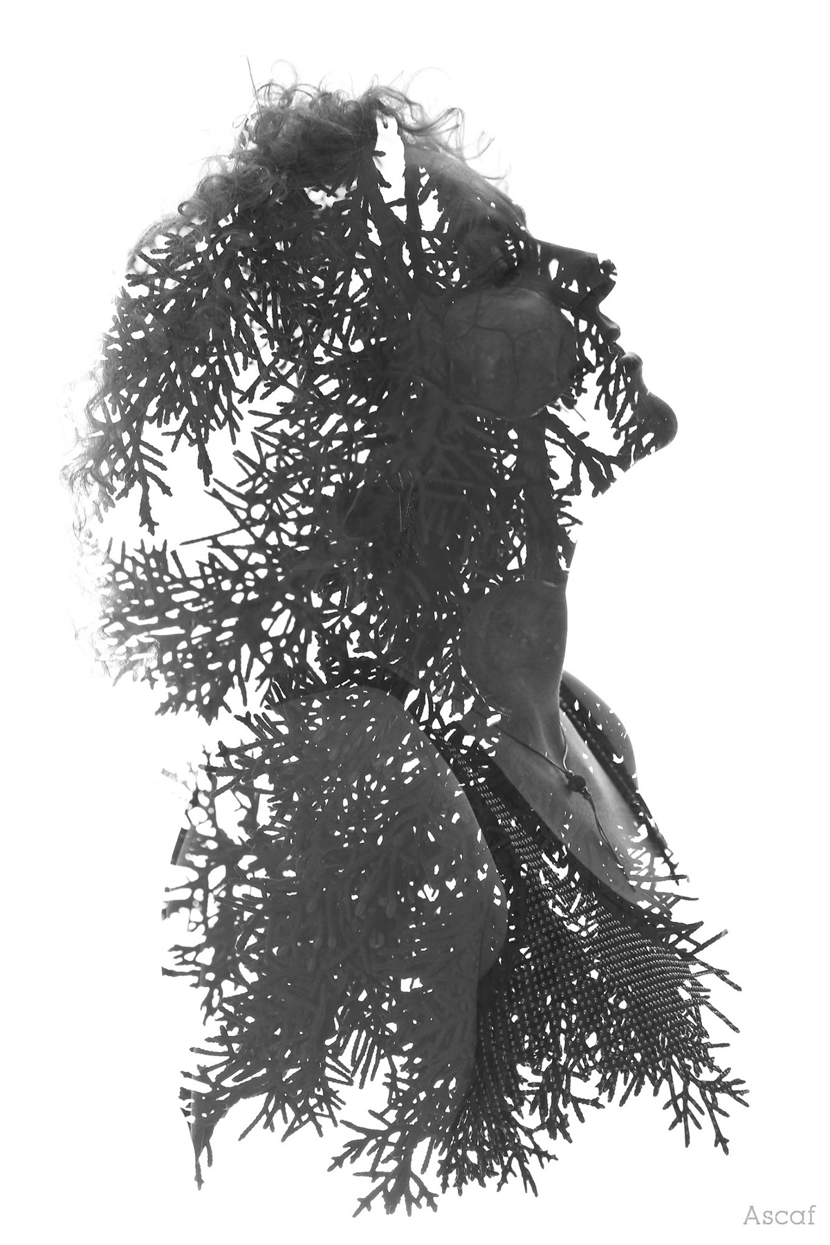 Ascaf double exposure portraits israel Nature people humans leaves branches