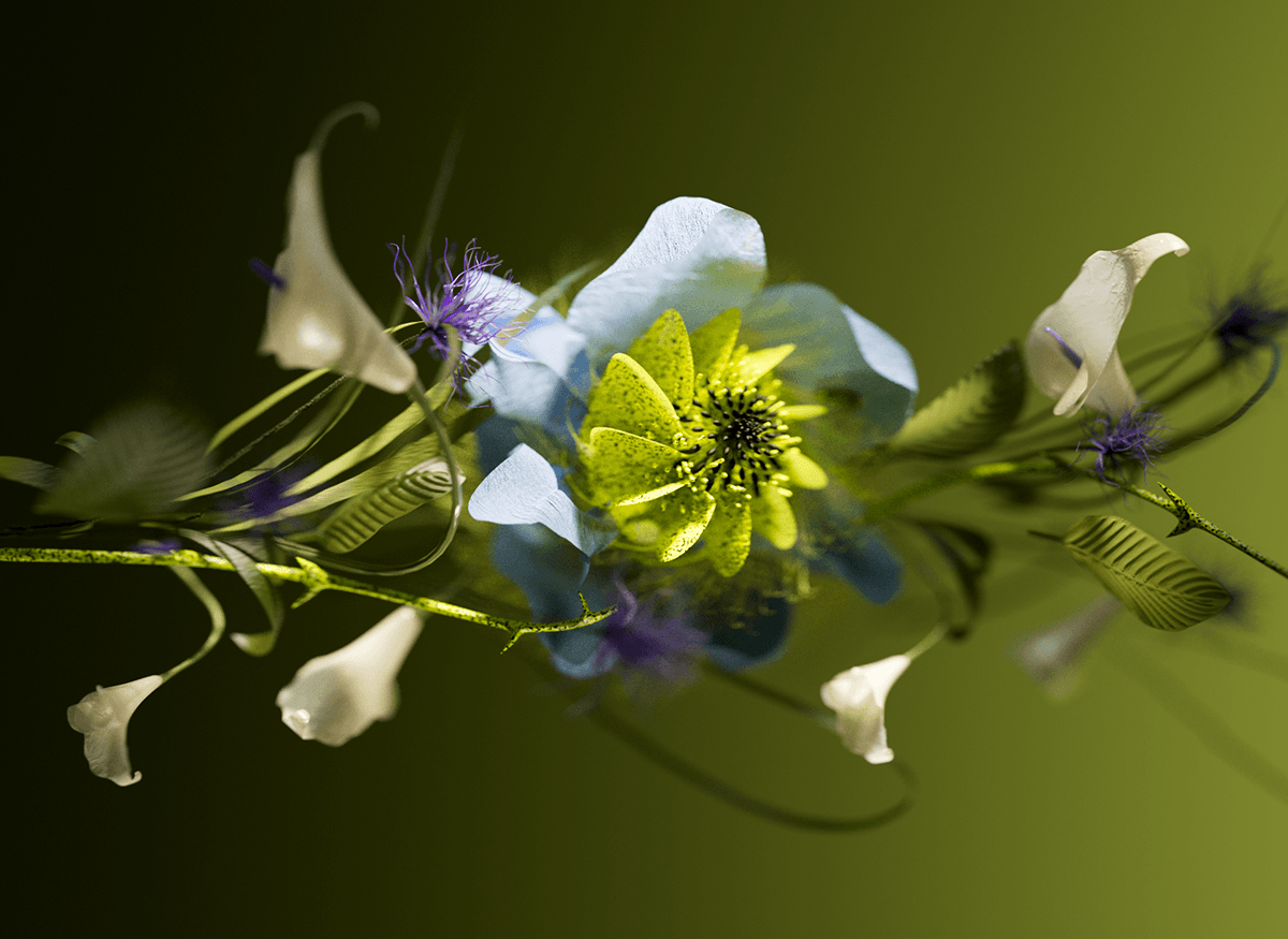 insect Nature art Digital Art  CGI Render 3D visualization design art direction 
