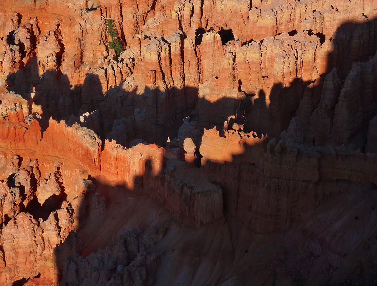 Canyons canyon light